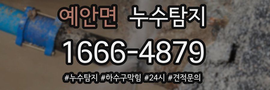 누수닥터 누수탐지