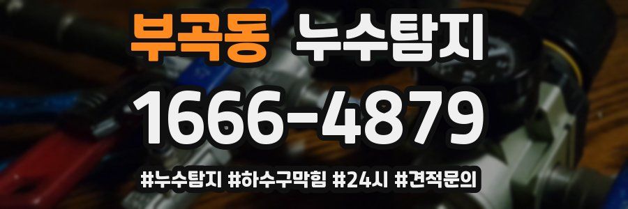 누수닥터 누수탐지