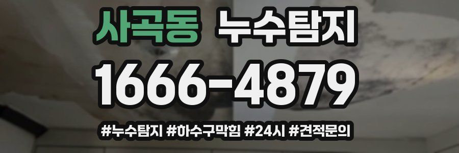 누수닥터 누수탐지