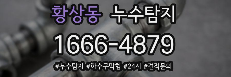 누수닥터 누수탐지