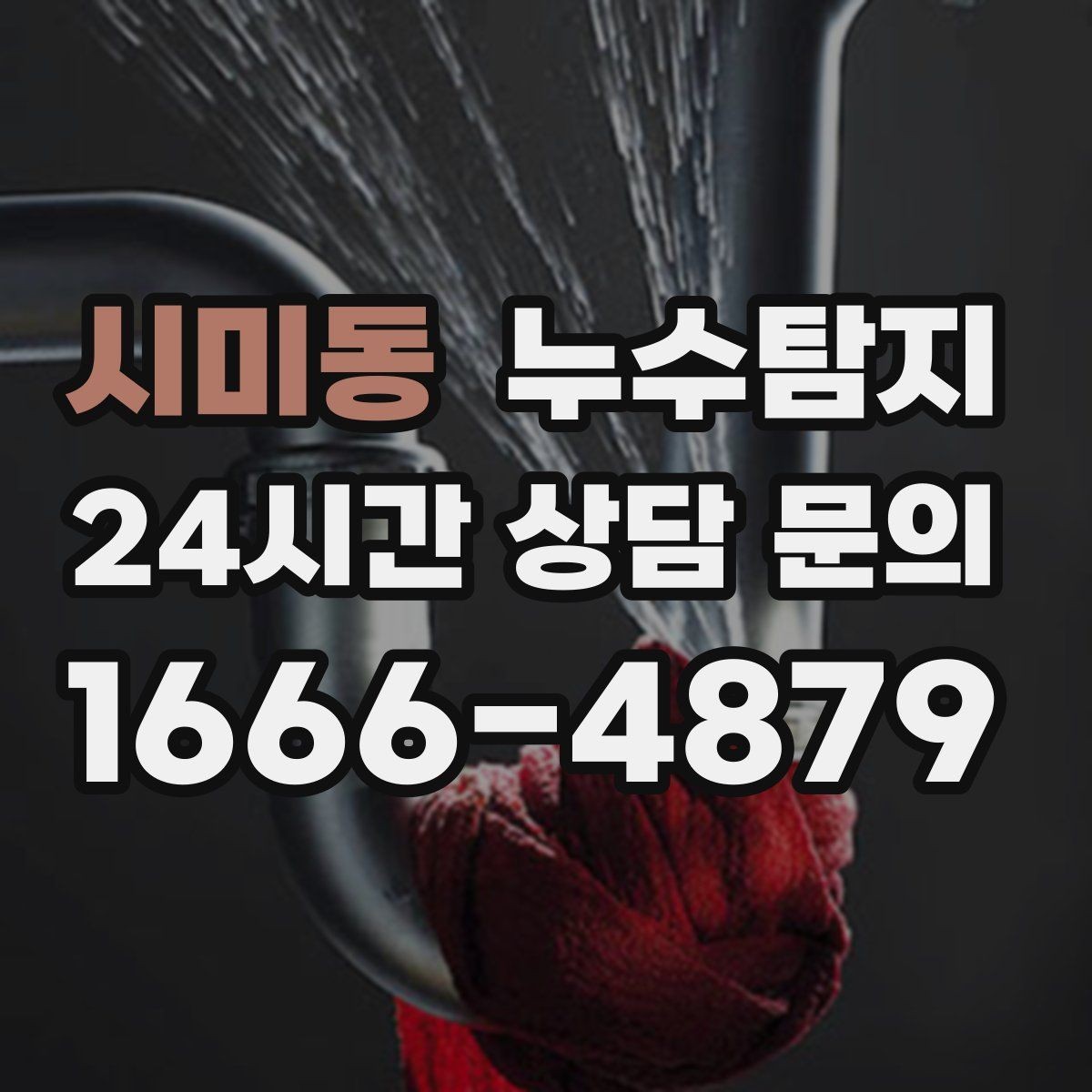 시미동 누수탐지 욕실 곰팡이 원인과 해결 과정