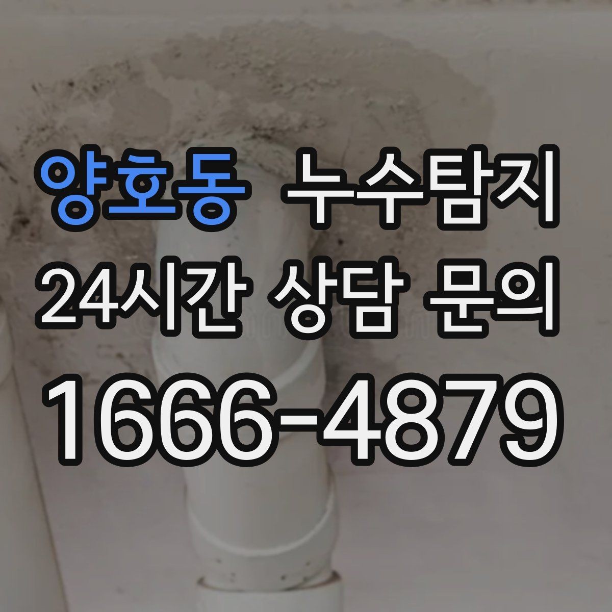 양호동 누수탐지 천장 벽 바닥 누수 진단