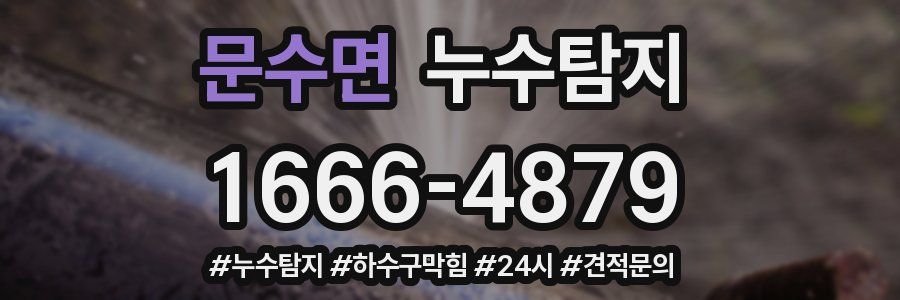 누수닥터 누수탐지