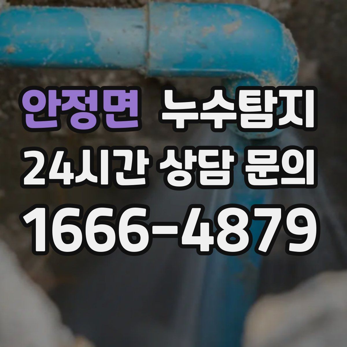 안정면 누수탐지 빠른 방문으로 막은 2차 피해