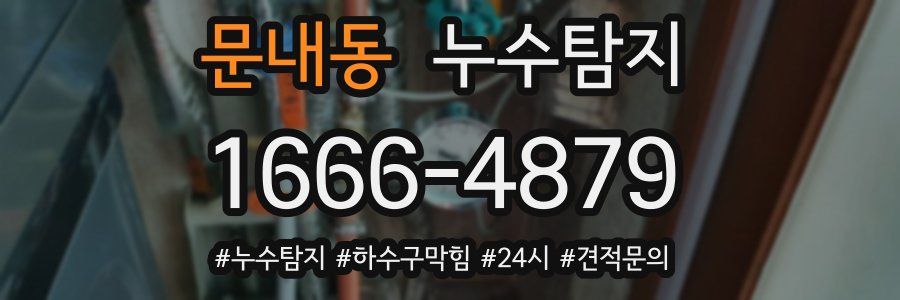 누수닥터 누수탐지