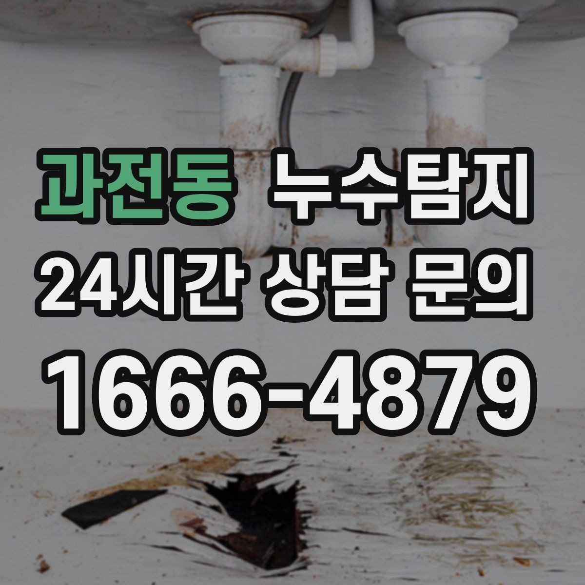 과전동 누수탐지 카페 천장 얼룩 복구 경험담