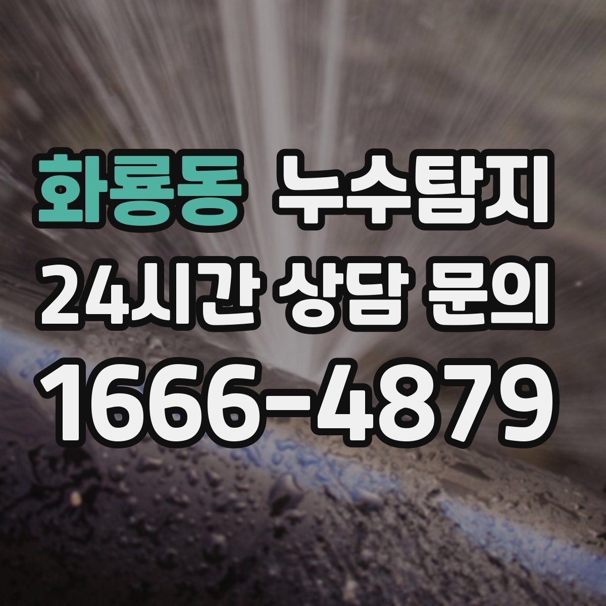 화룡동 누수탐지 관리사무소와 협의한 과정 기록