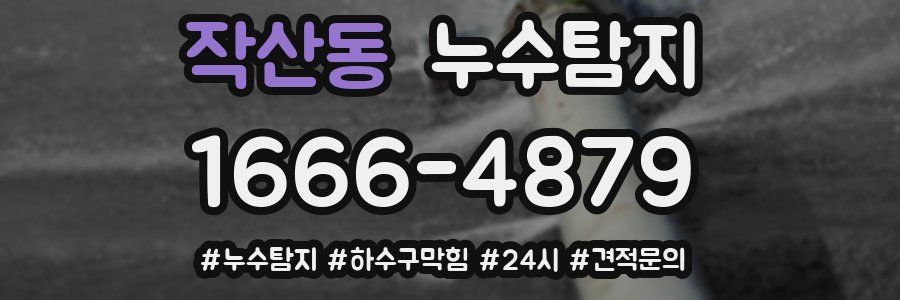 누수닥터 누수탐지