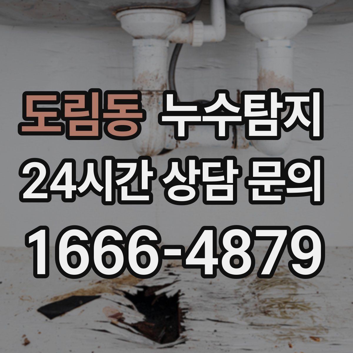 도림동 누수탐지 욕실 곰팡이 원인과 해결 과정