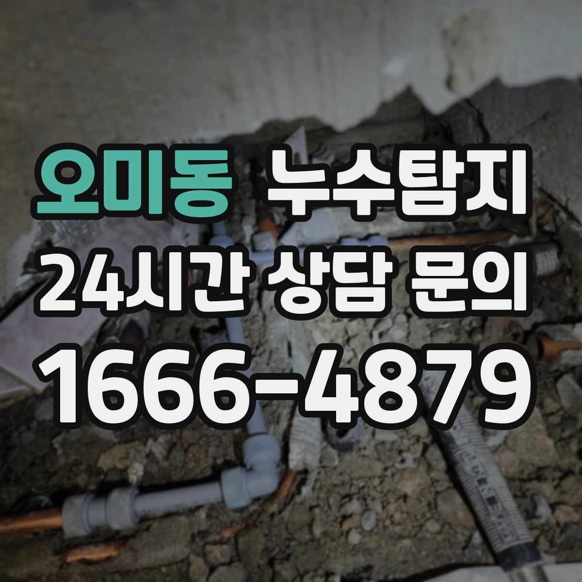 누수탐지
