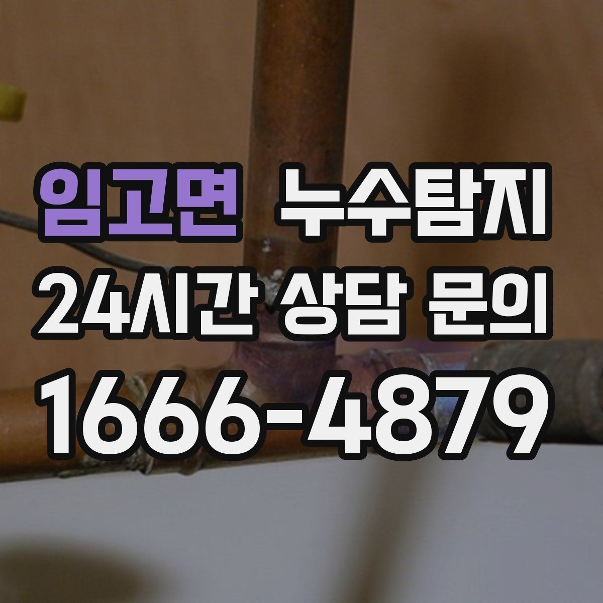 임고면 누수탐지 폭우 전 준비한 예방 체크