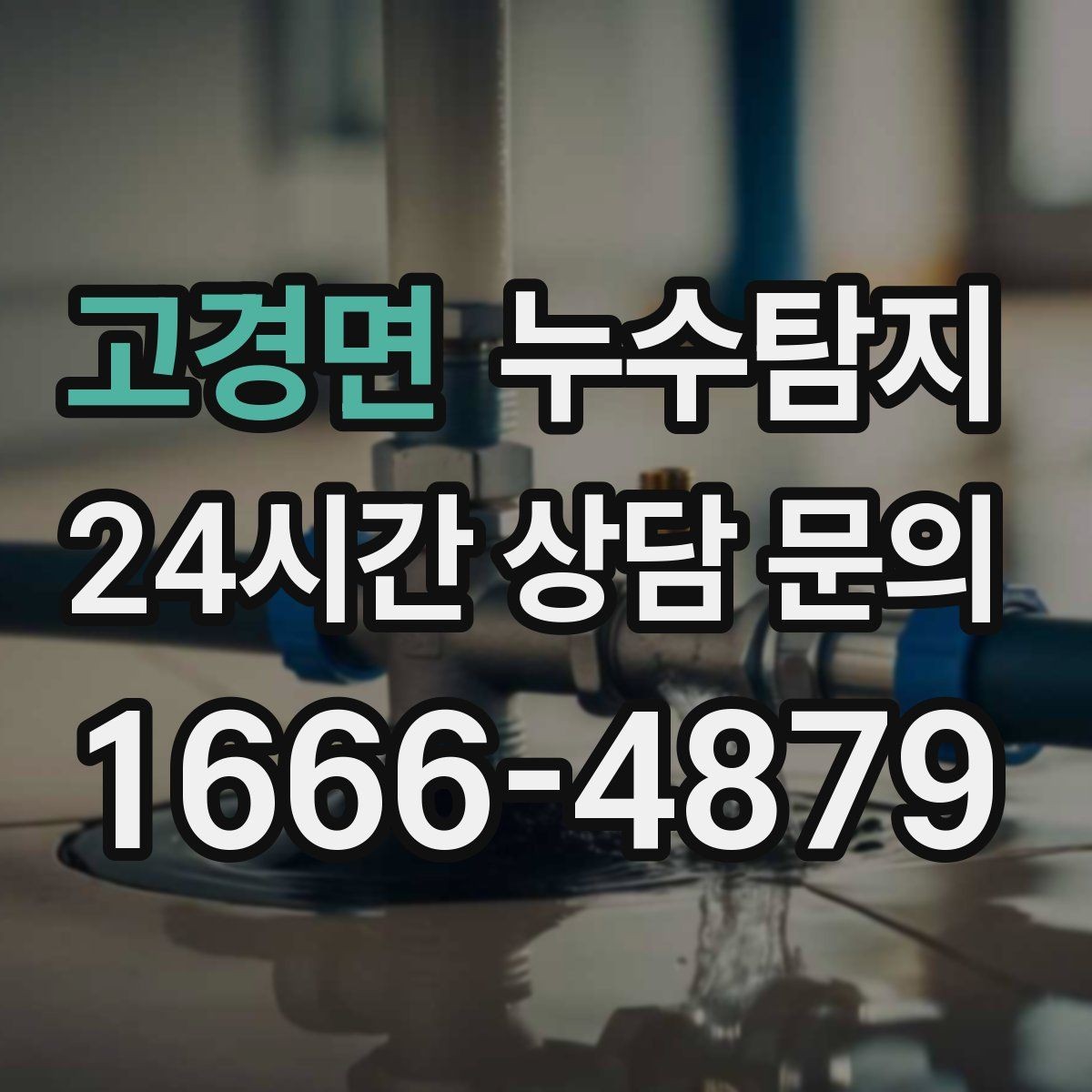 고경면 누수탐지 방수 결함 누수 진단
