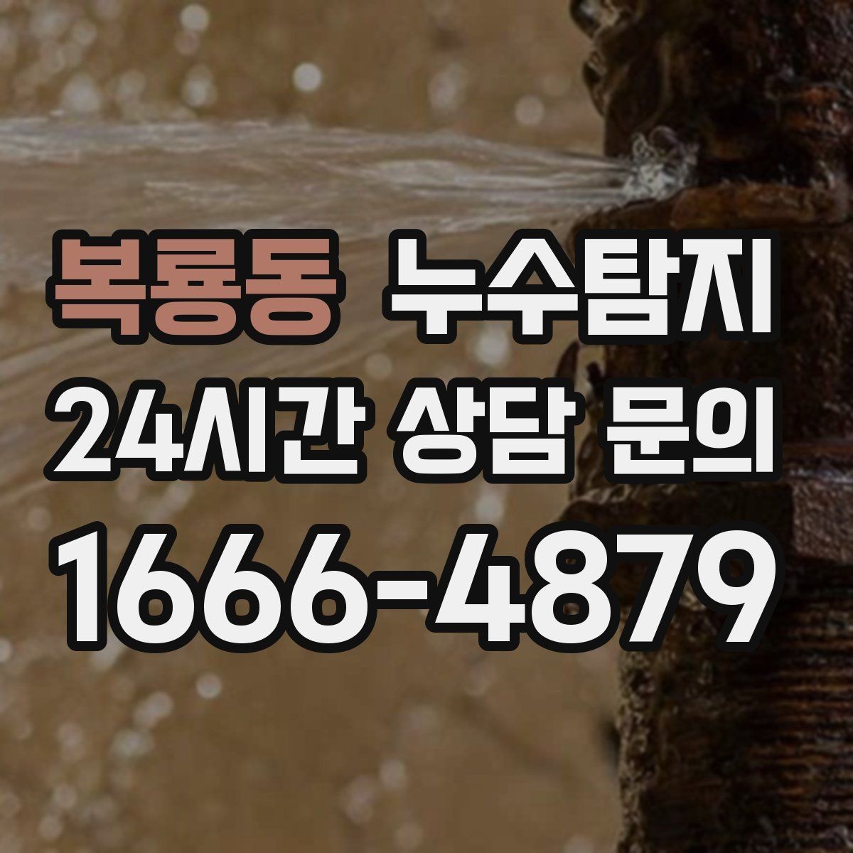복룡동 누수탐지 욕실 실리콘 노화 점검 에피소드