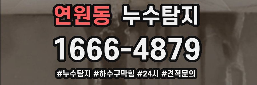 누수닥터 누수탐지