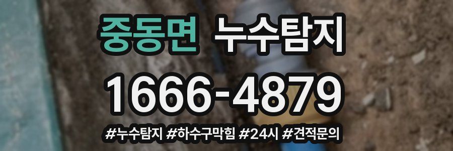 누수닥터 누수탐지