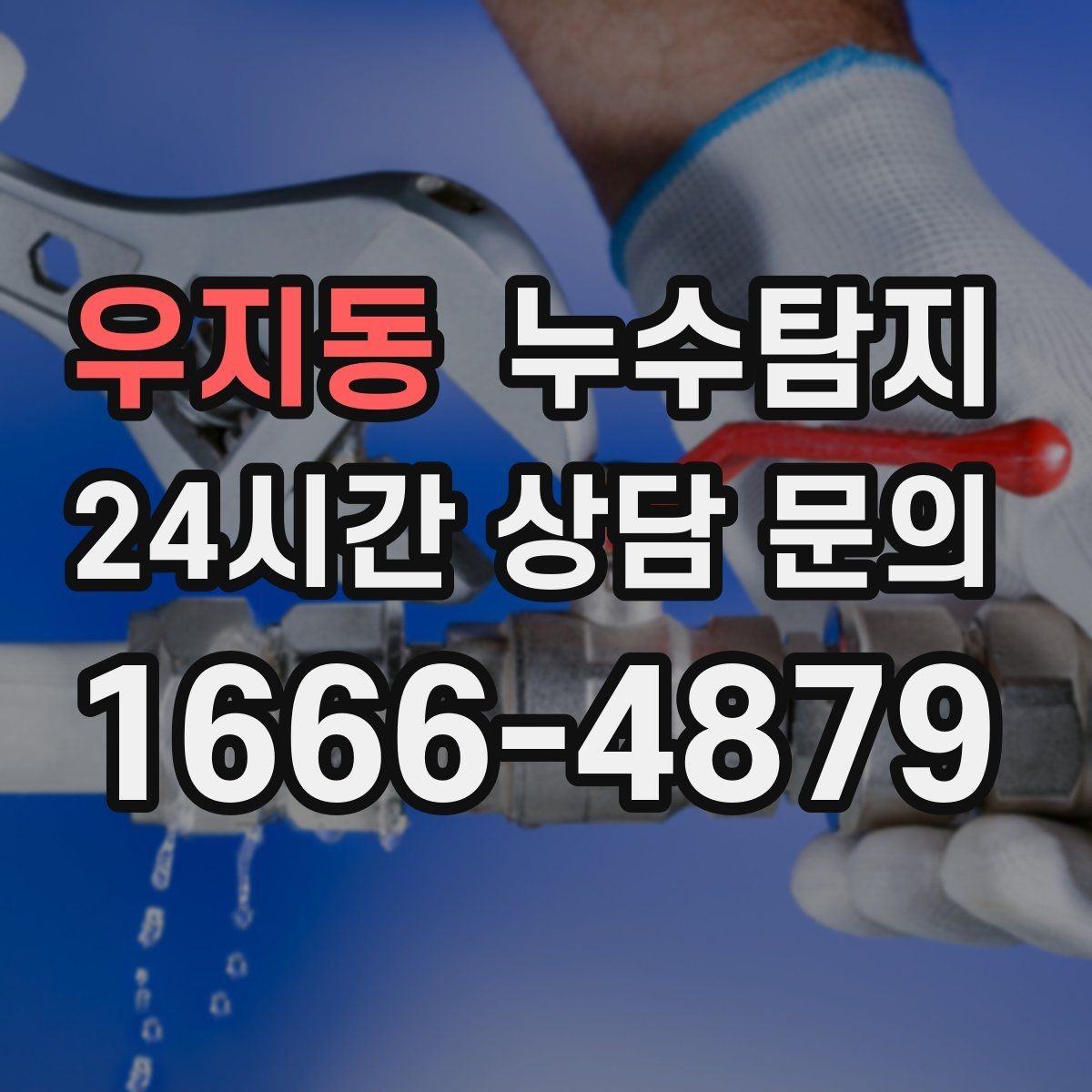 우지동 누수탐지 우리집 천장 얼룩 원인 추적기