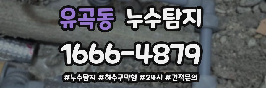 누수닥터 누수탐지