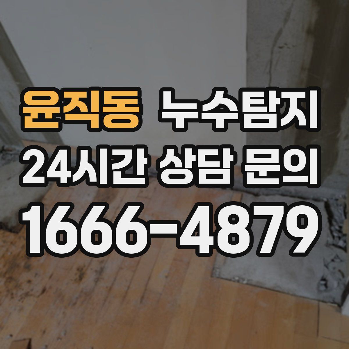 누수탐지