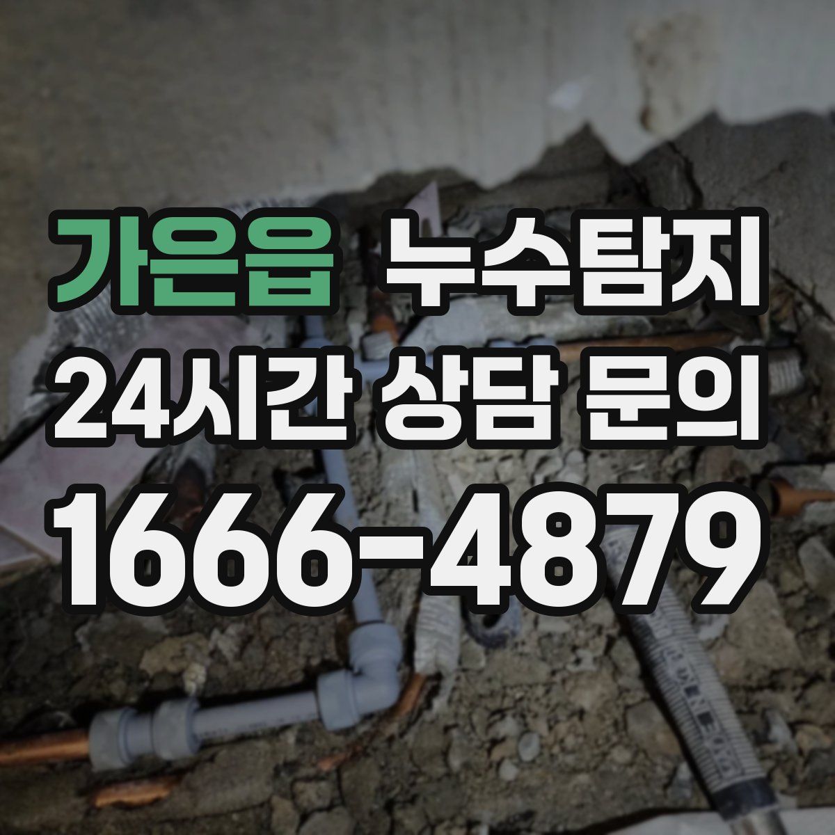 누수탐지