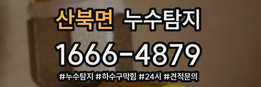누수닥터 누수탐지