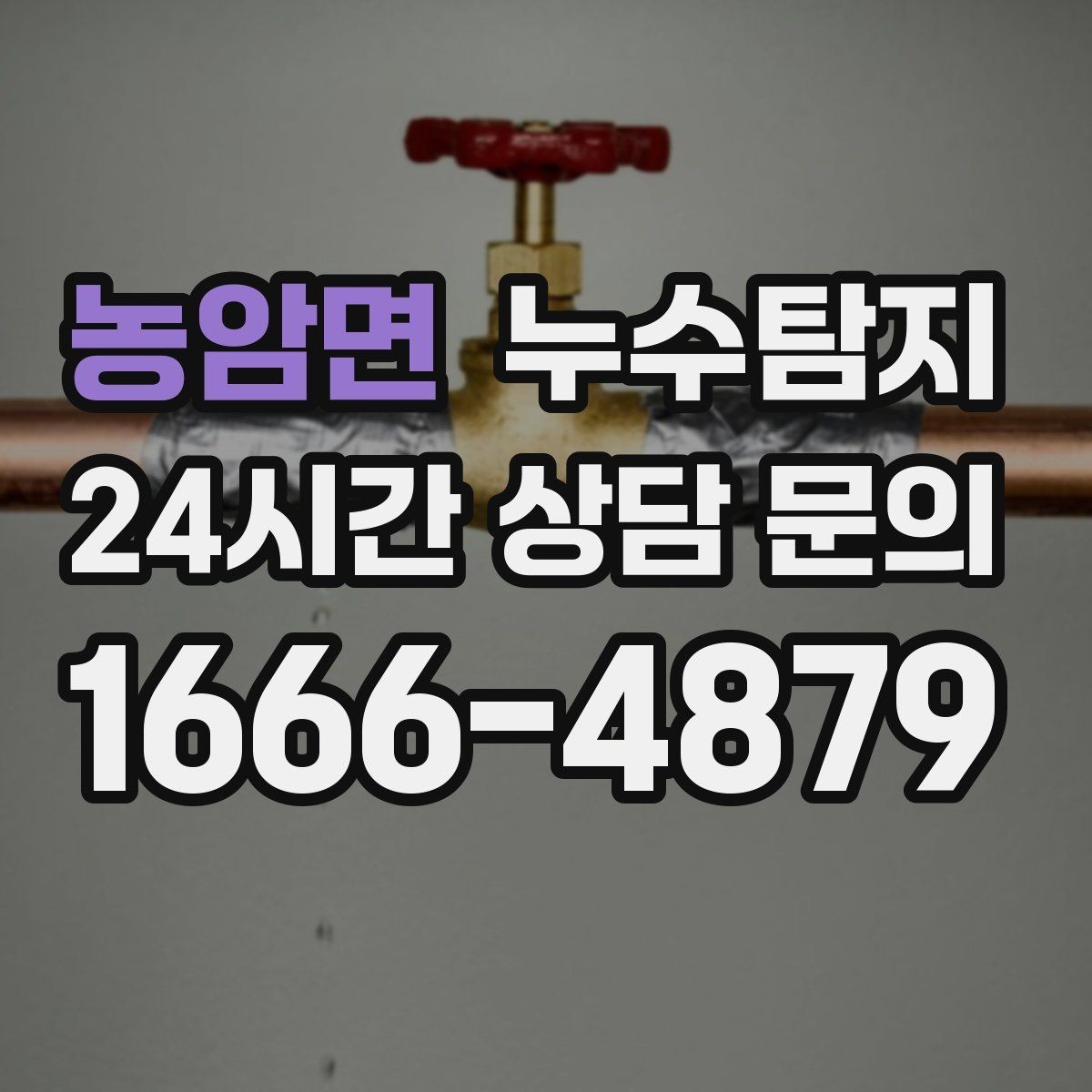 농암면 누수탐지 우리집 천장 얼룩 원인 추적기