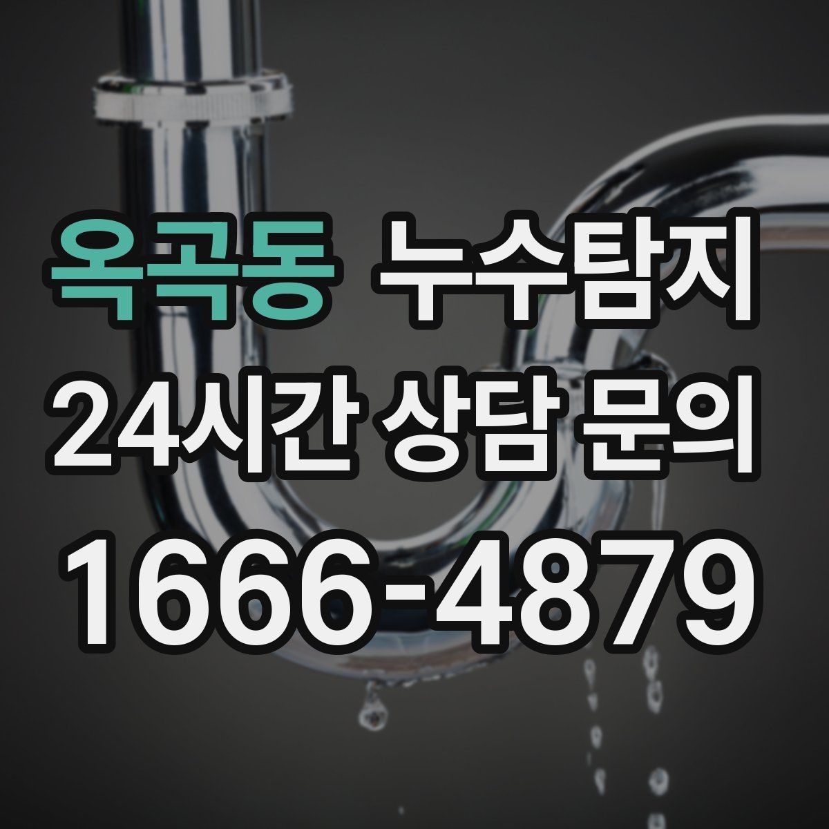 옥곡동 누수탐지 리모델링 일정 지킨 대응