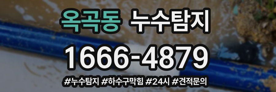누수닥터 누수탐지