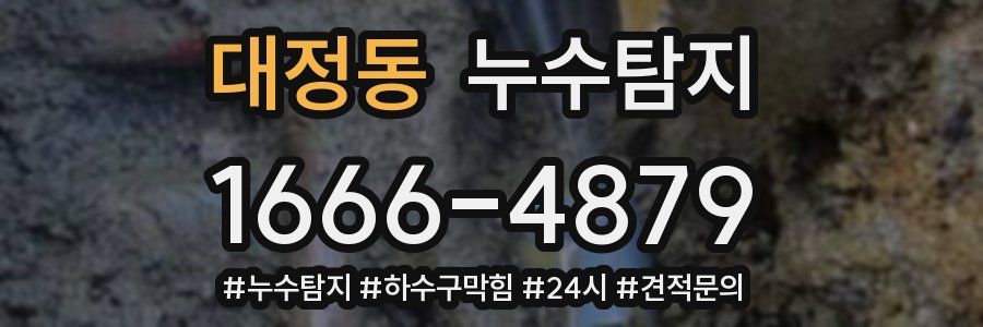 누수닥터 누수탐지