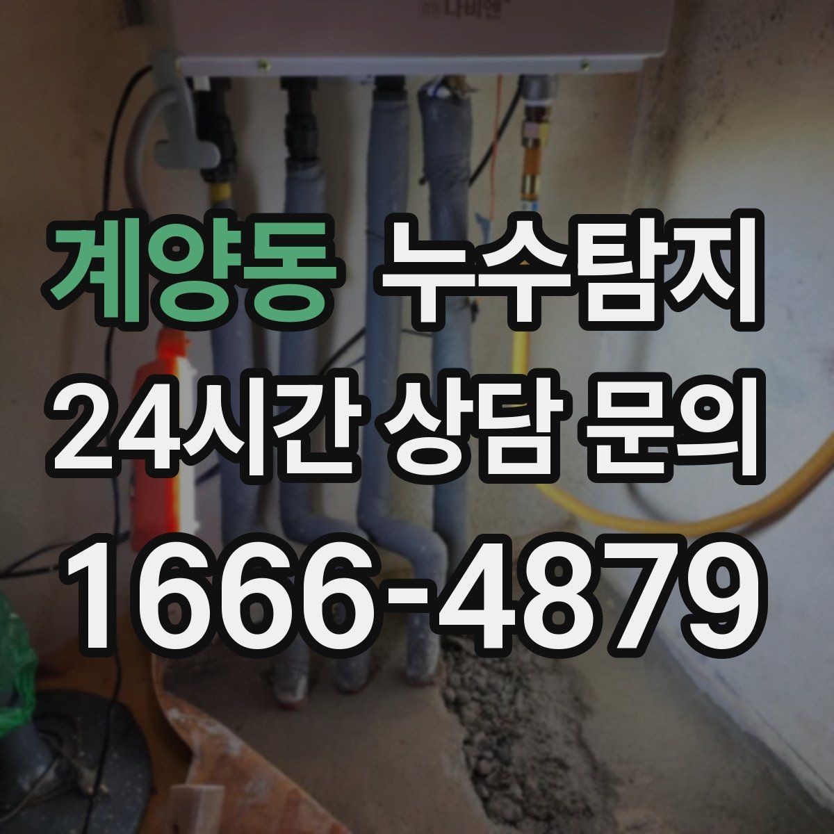 계양동 누수탐지 옥상 파라펫 균열 점검 일지