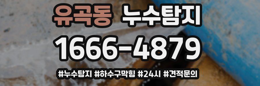 누수닥터 누수탐지