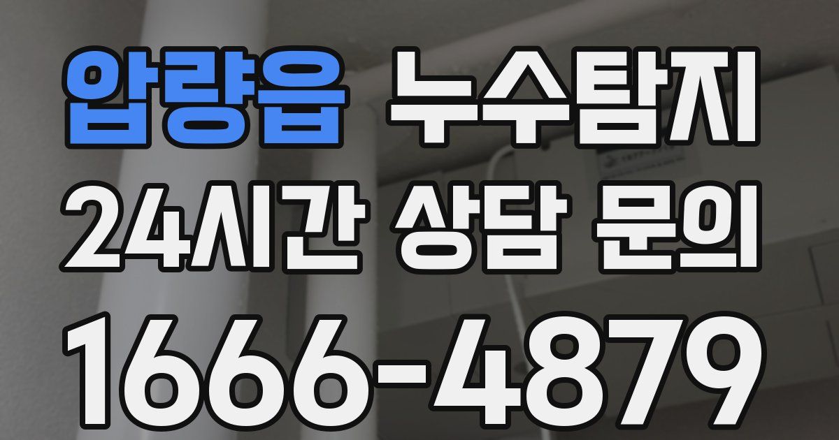 하수구막힘