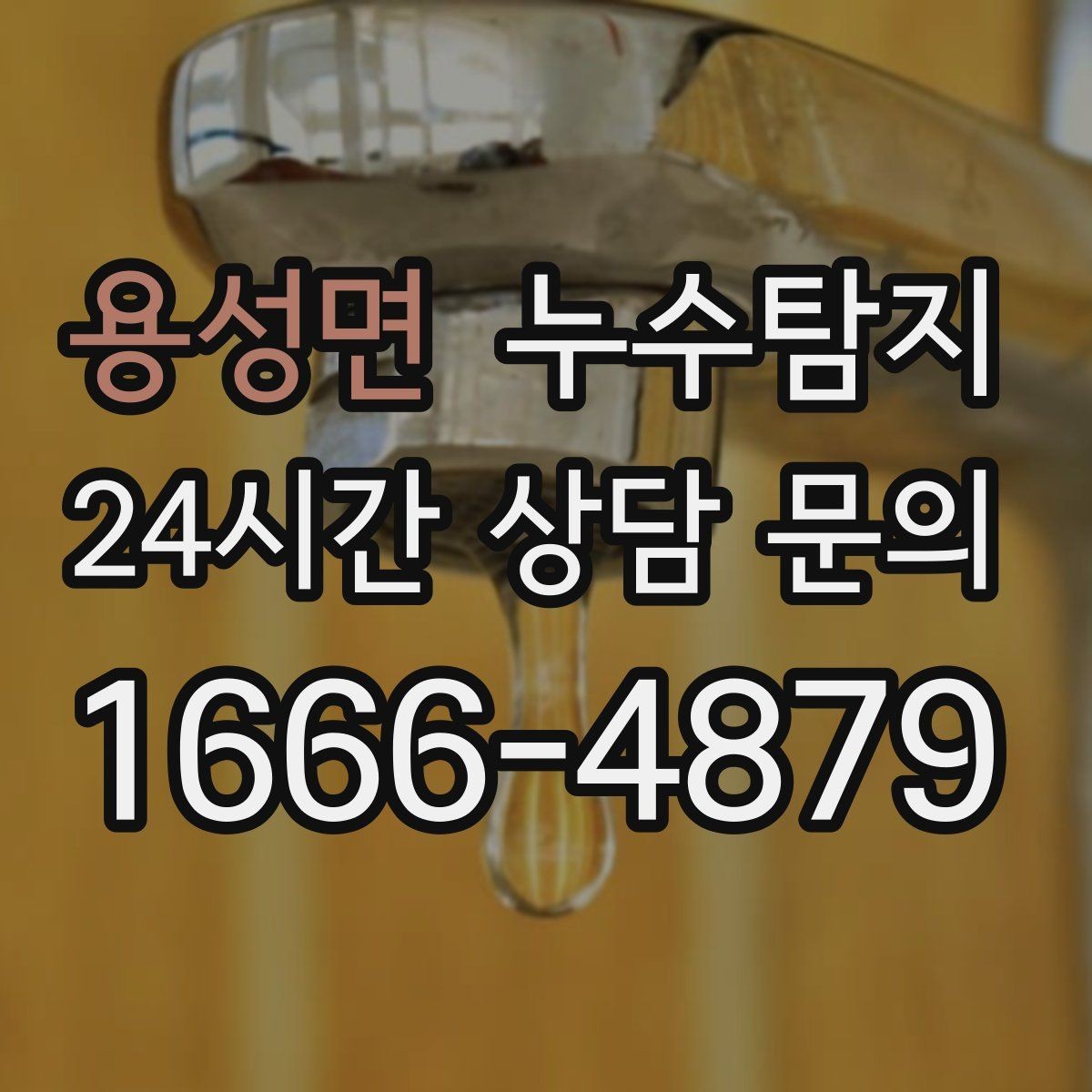 용성면 누수탐지 지역별 방문 가능 구역과 예약 팁