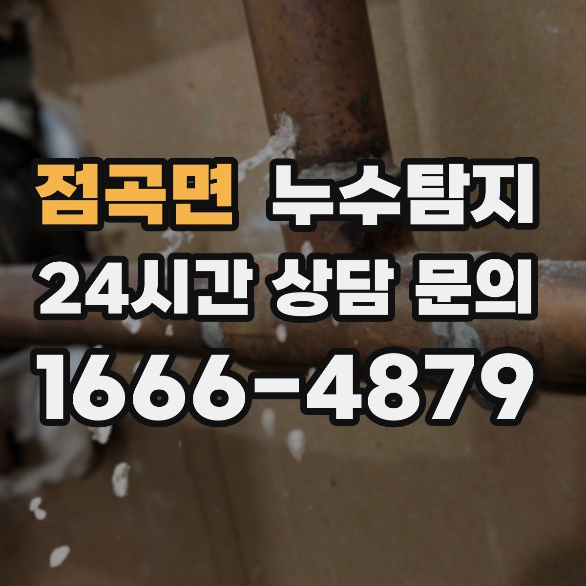 누수탐지