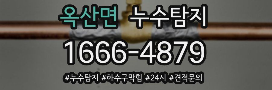 누수닥터 누수탐지