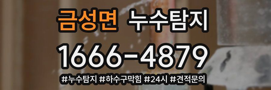 누수닥터 누수탐지