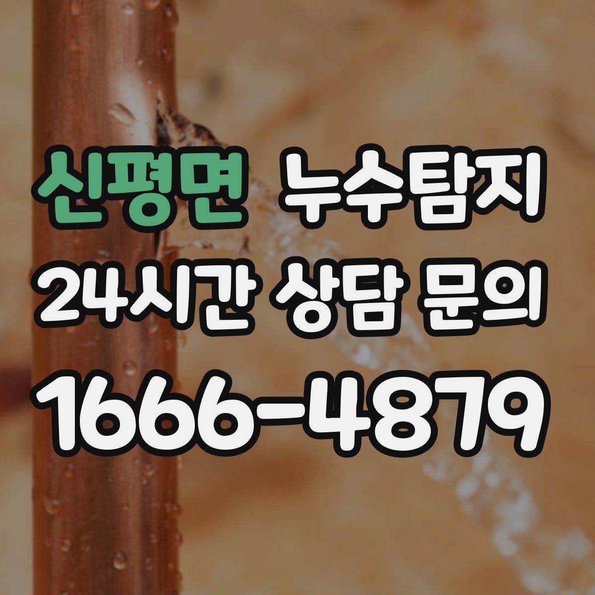 신평면 누수탐지 단독주택 외부 관로 점검