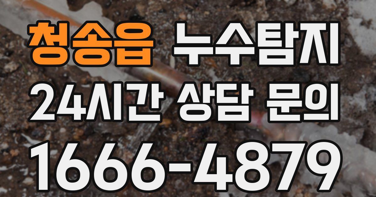 하수구막힘
