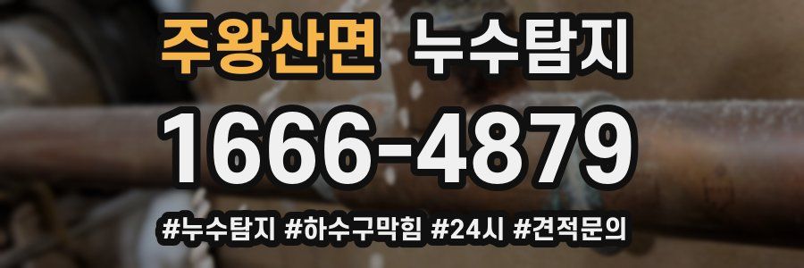 누수닥터 누수탐지