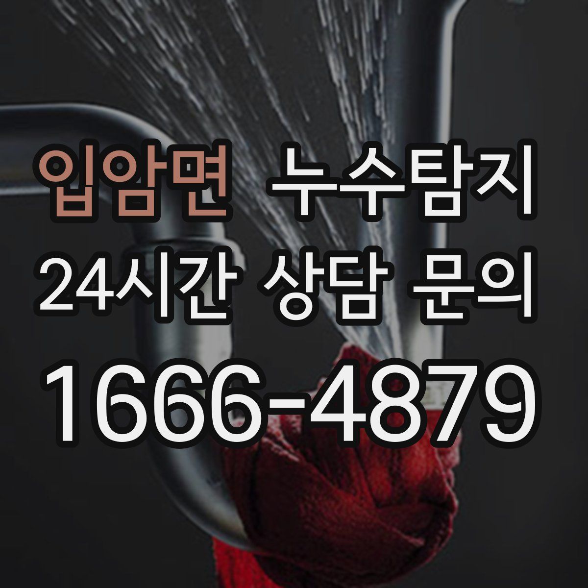 누수탐지