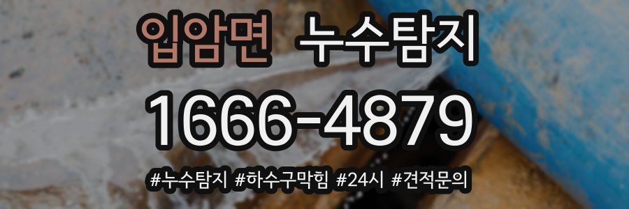 누수닥터 누수탐지