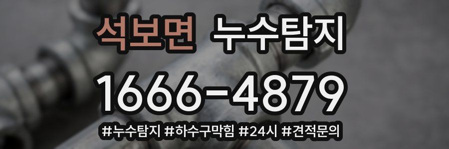 누수닥터 누수탐지