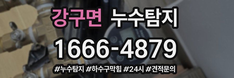 누수닥터 누수탐지
