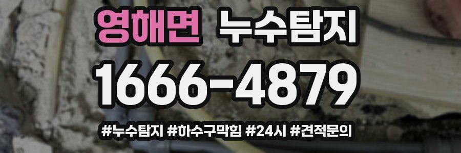 누수닥터 누수탐지