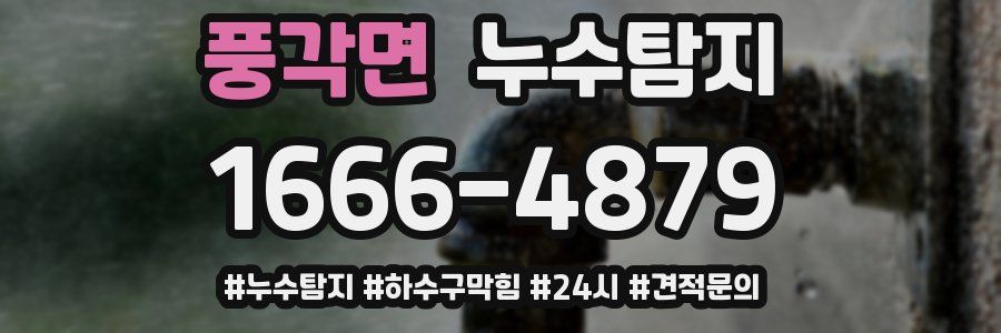 누수닥터 누수탐지