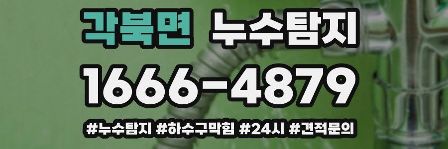 누수닥터 누수탐지