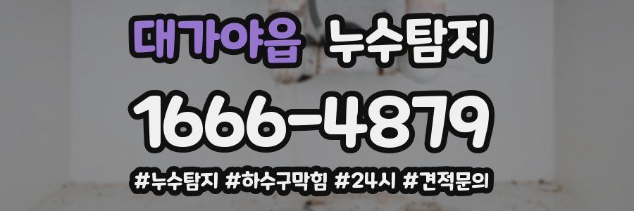 누수닥터 누수탐지