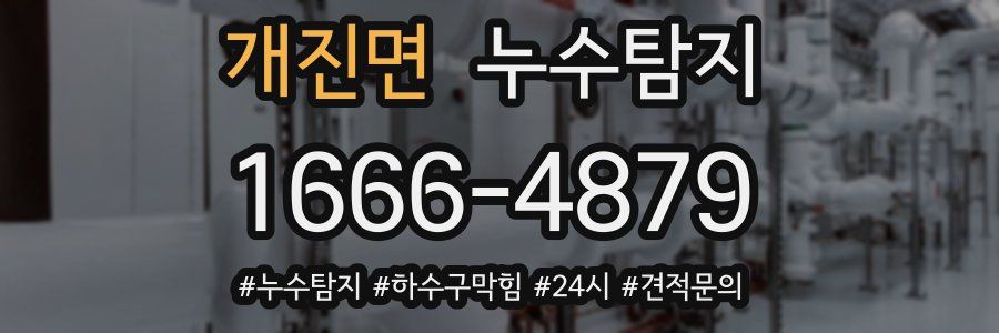 누수닥터 누수탐지