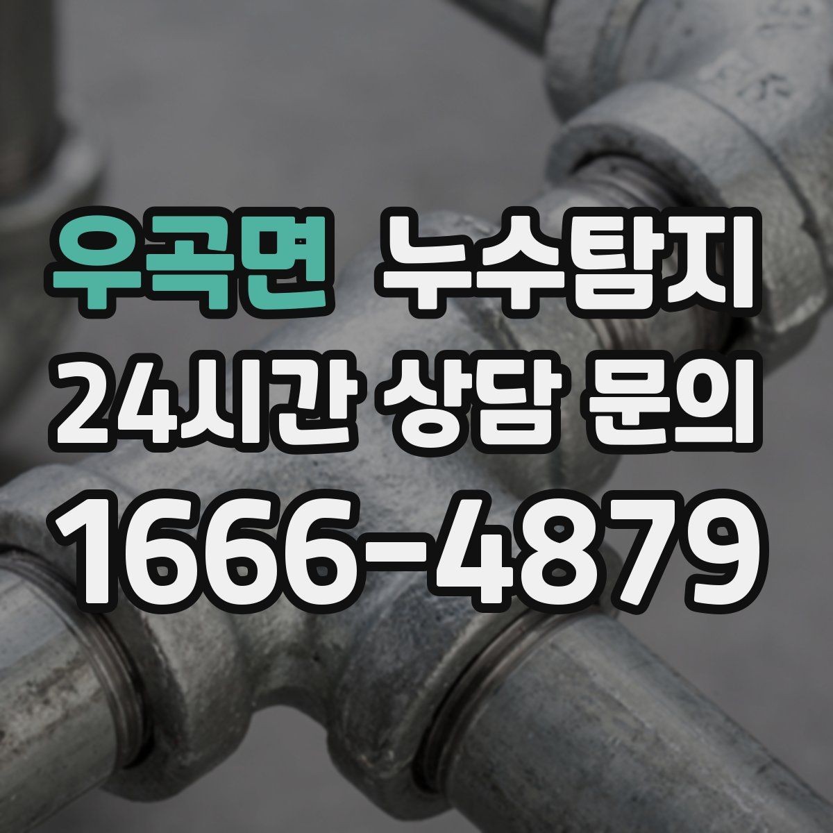 우곡면 누수탐지 배수구 역류와 악취 해결 노하우