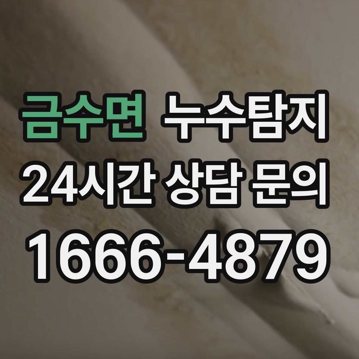 누수탐지