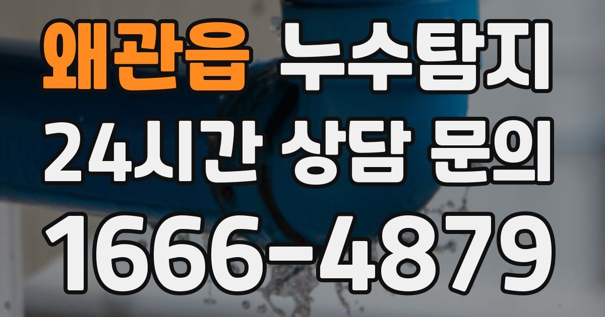 하수구막힘